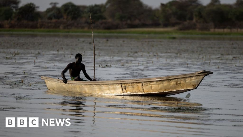 dozens-of-nigerian-fishermen-feared-dead-after-chad-air-strikes-on-boko-haram