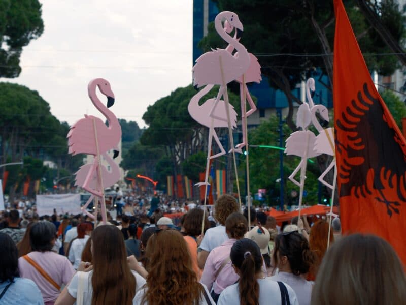 as-bulldozers-roll-flamingo-revolution-erupts-in-albania-against-kushner-trump-luxury-resort