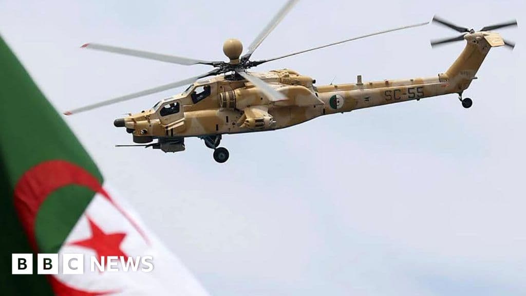 algeria-to-send-troops-to-niger-in-first-foreign-deployment-since-1973