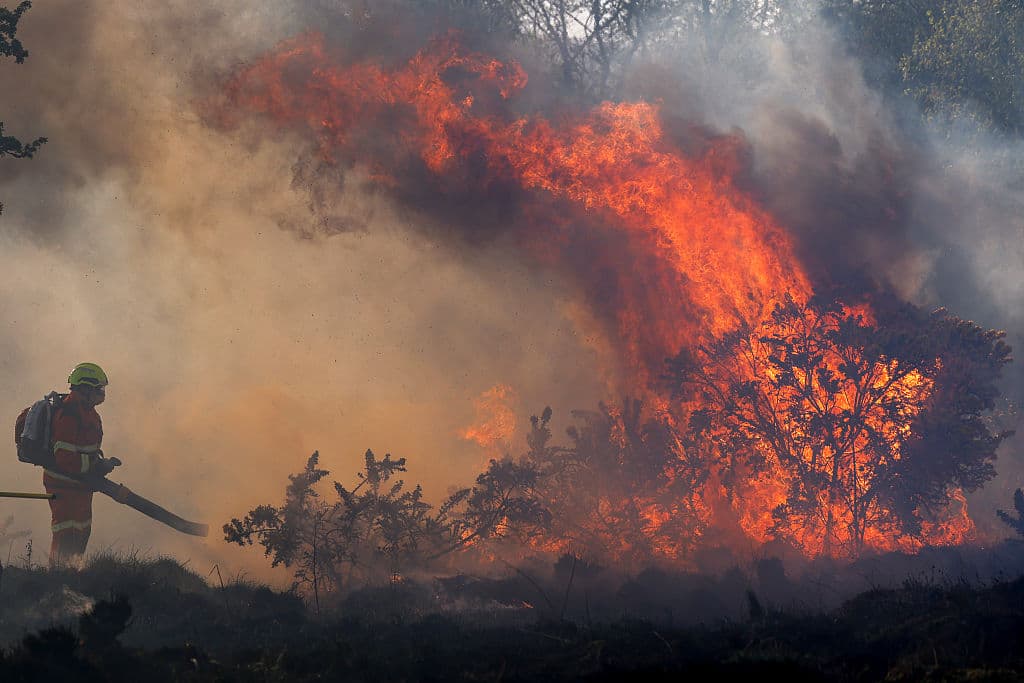 climate-action-can-win-majorities