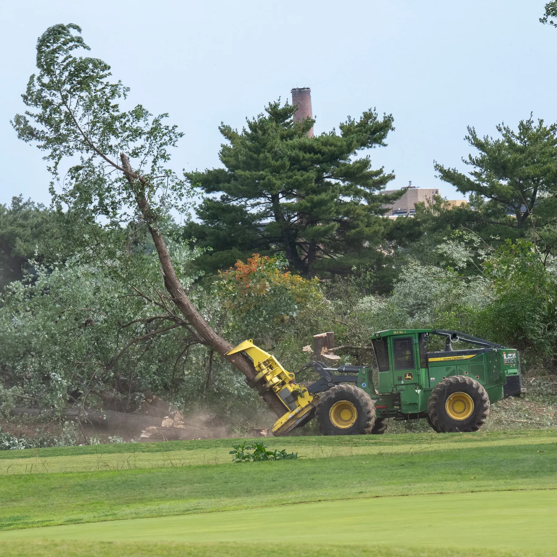 judge-orders-trump-administration-to-answer-for-tree-removals-at-dc-golf-course